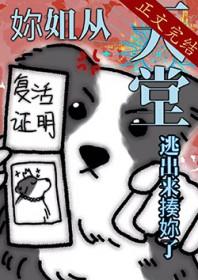 小浓情讲的什么