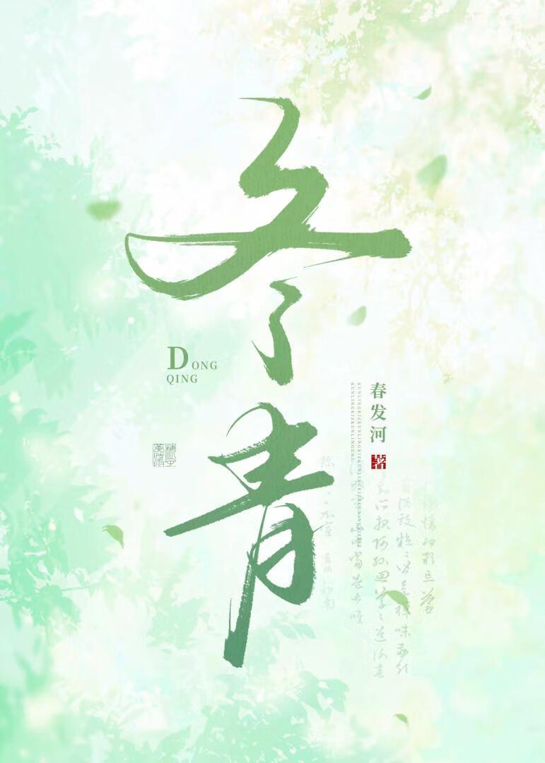 冬青