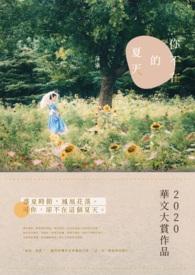 我只会雷法免费阅读