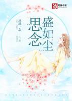 沈随之安晚太监