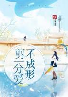 沈随之安晚名字