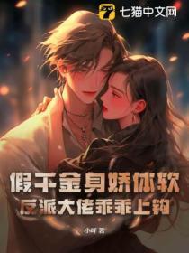 叶风叶紫灵免费阅读全部