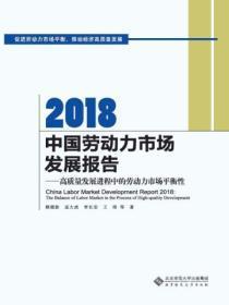 2018中国劳动力市场发展报告:高质量发展进程中的劳动力市场平衡性