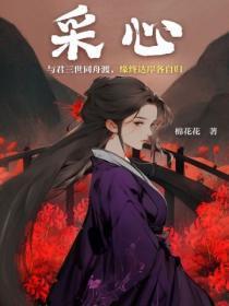 小月亮zp拆解详解