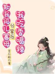 傅夏清洛霁结局