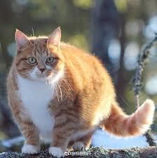 欢迎来到甜蜜的家男主是谁