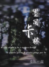 我继承了一座城[山海经