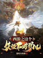 前妻的攻略电视剧全集在线观看