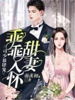 顾乔乔司亦彦