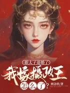 谋算大师第三部