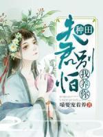 齐昭是哪部电视剧