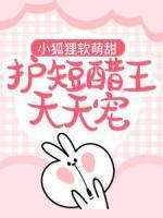 洛音音秦少宸