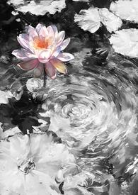 规则怪谈祝我的家人们忌日快乐讲什么