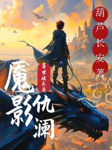 双A引力法则免费阅读